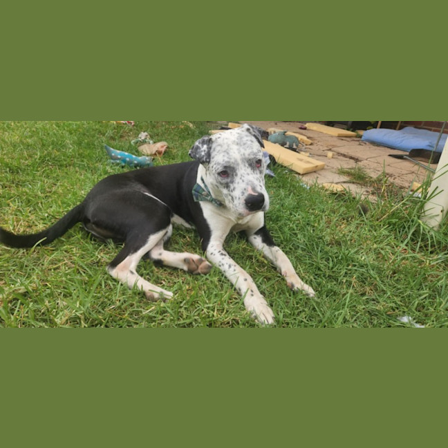 Photo of Rockefeller