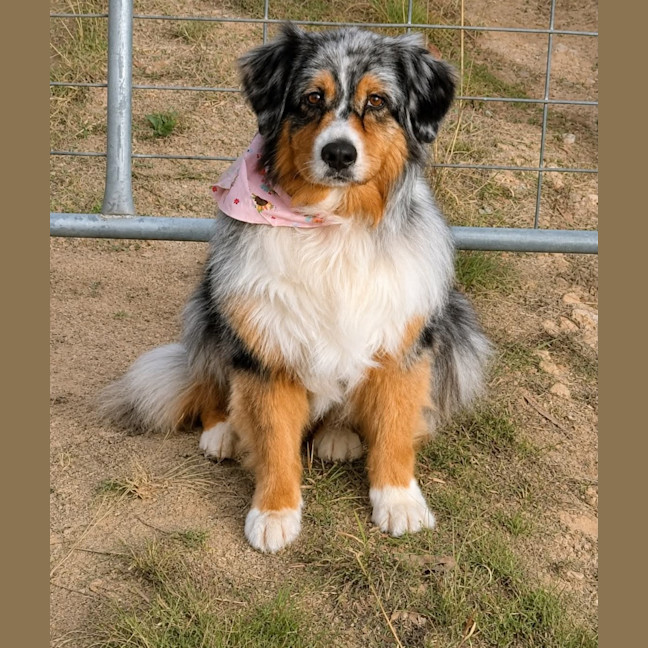 Photo of Vonnie