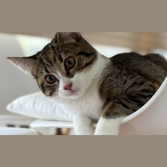 Photo of Ramona