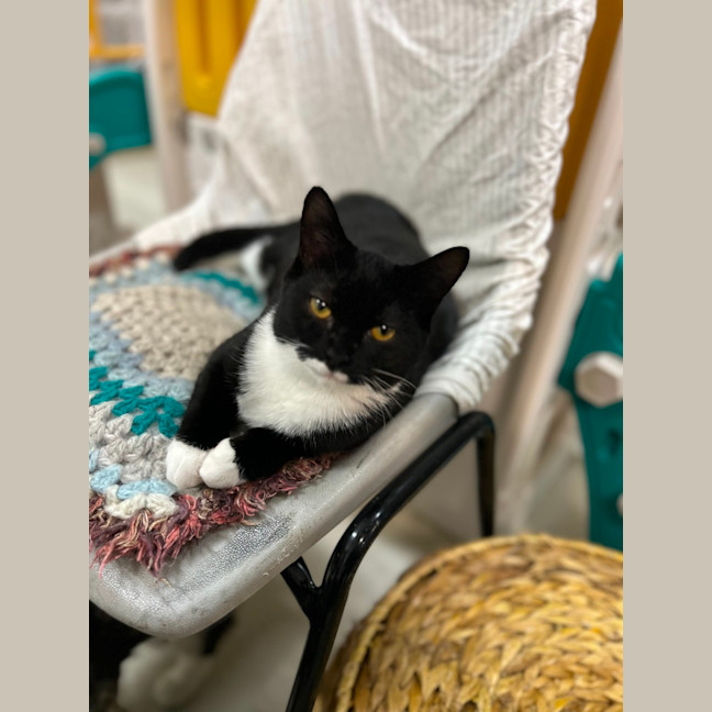 Photo of Sally
