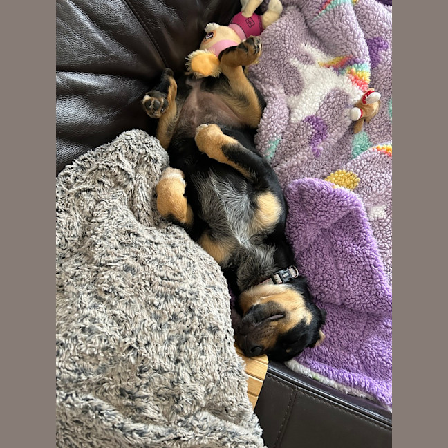 Photo of Narla