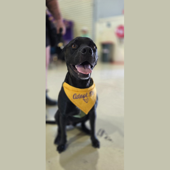Photo of Zeus