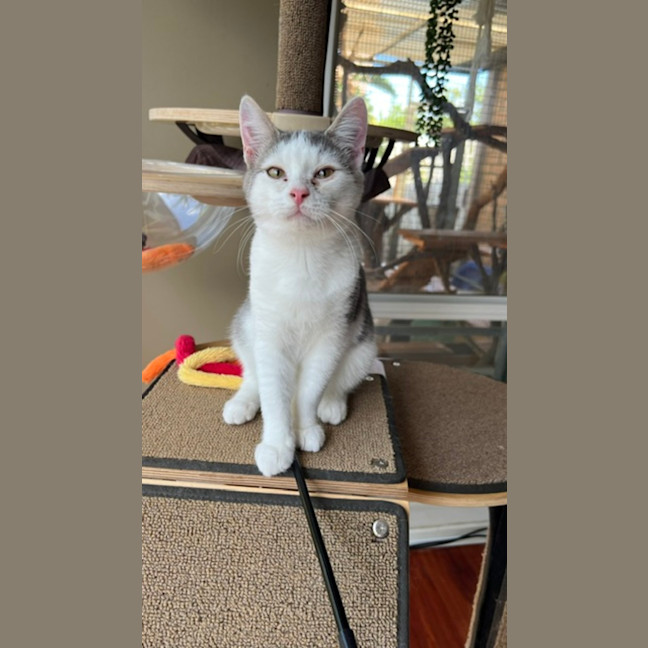 Photo of Bud
