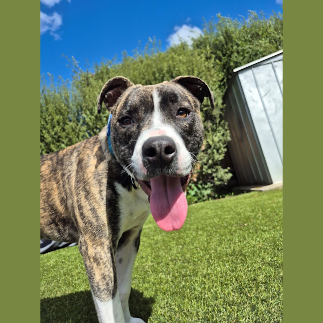 Photo of Cenric Riley