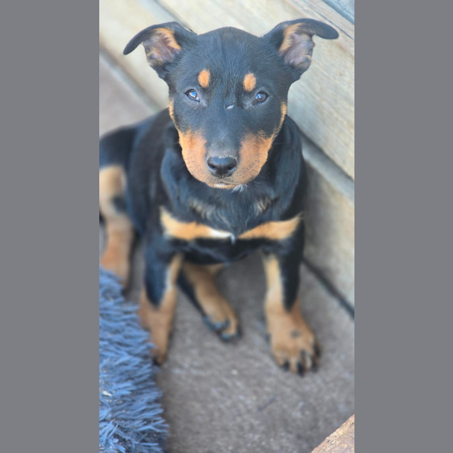 Photo of Jackpot