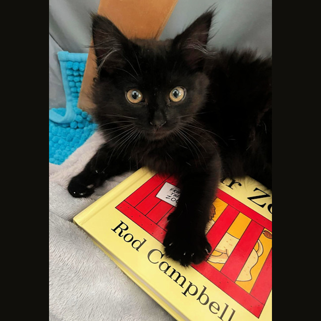 Photo of 💨Alcatraz💨