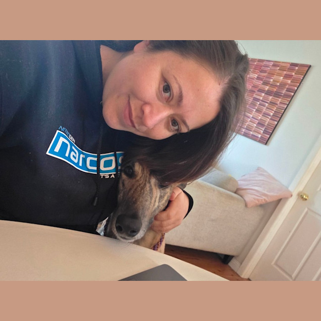 Photo of Jake, The Greyhound