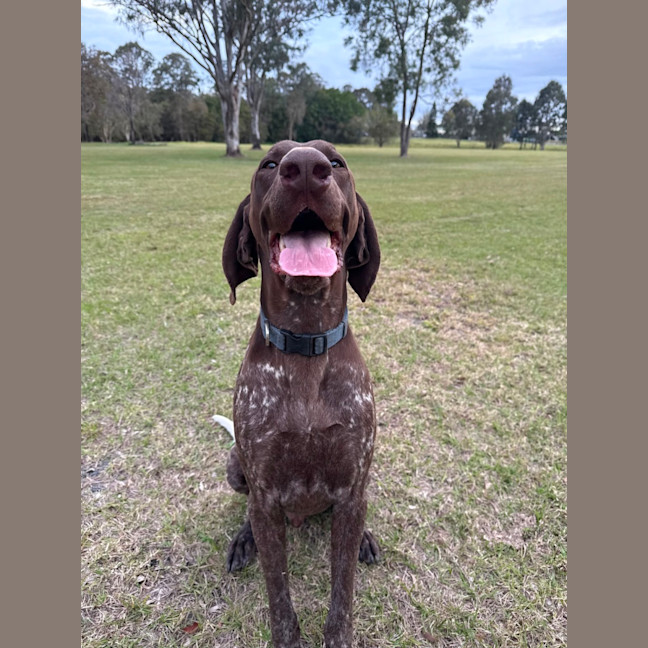 Photo of Cash