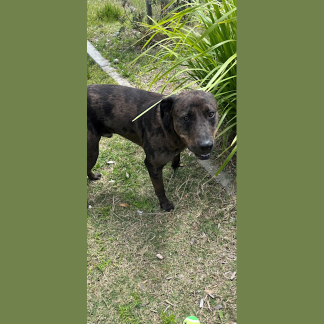 Photo of Boof (4848)