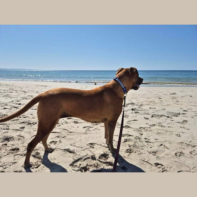 Photo of Lucy