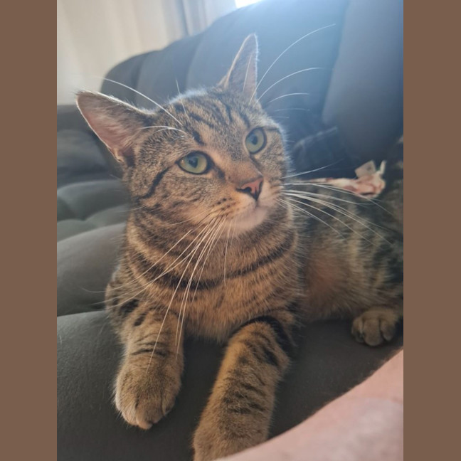 Photo of Bella