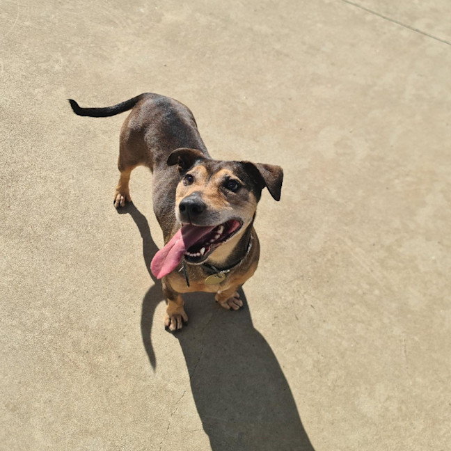 Photo of Roxy