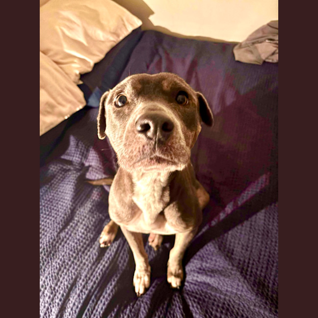 Photo of Sprout 🌱 