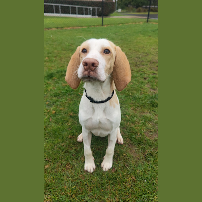 Photo of Post Malone