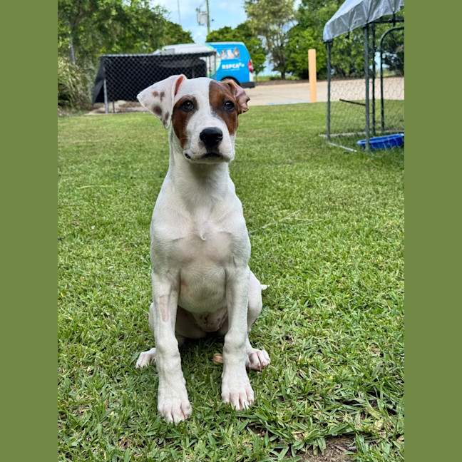Photo of Mystique
