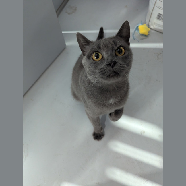Photo of Mia