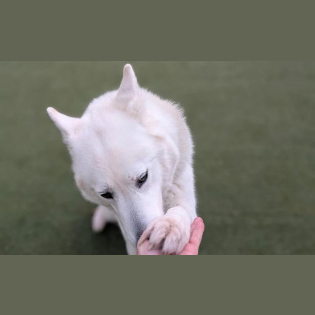 Photo of Storm