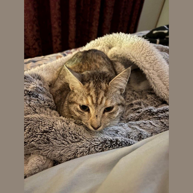 Photo of Arianna Quinnell