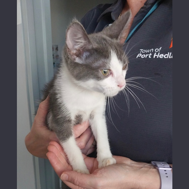 Photo of Billie Jean