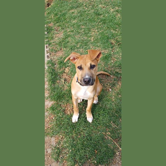 Photo of Charlie