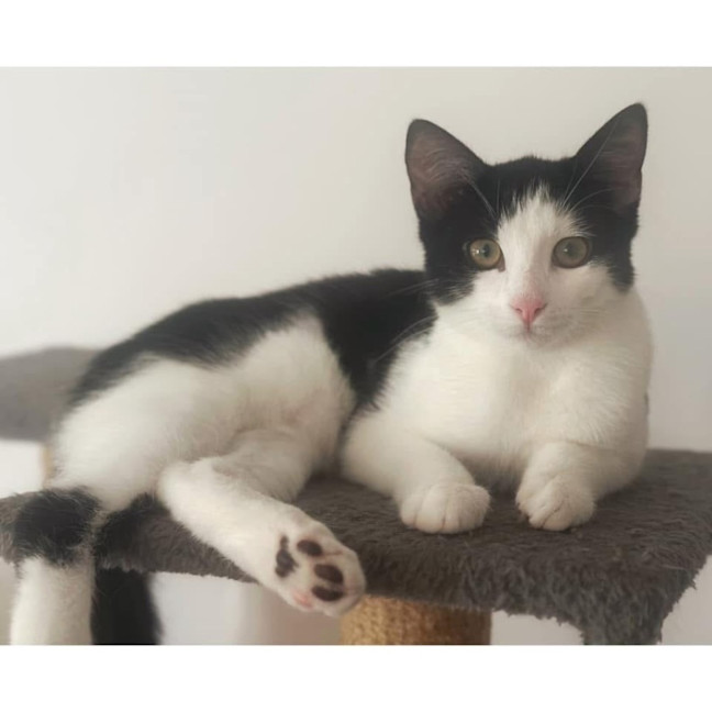 Photo of 11422   Ian