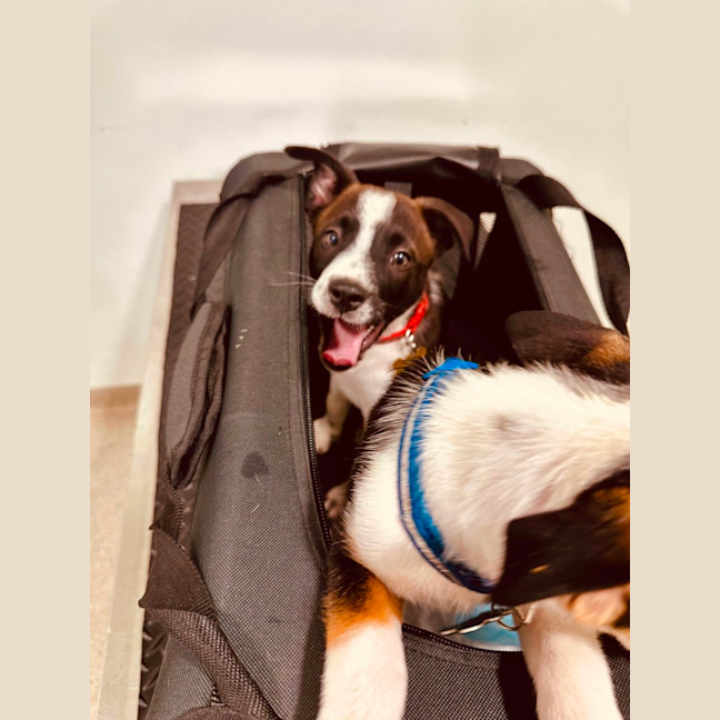 Photo of Cash