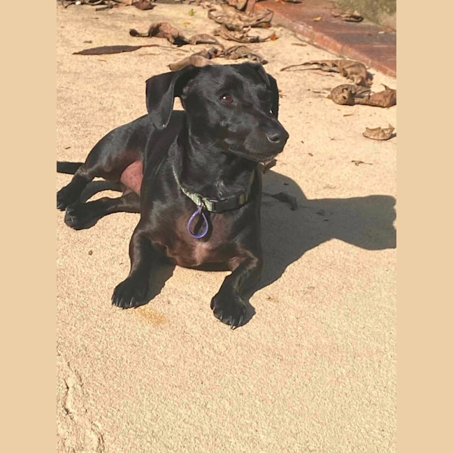 Photo of Luna