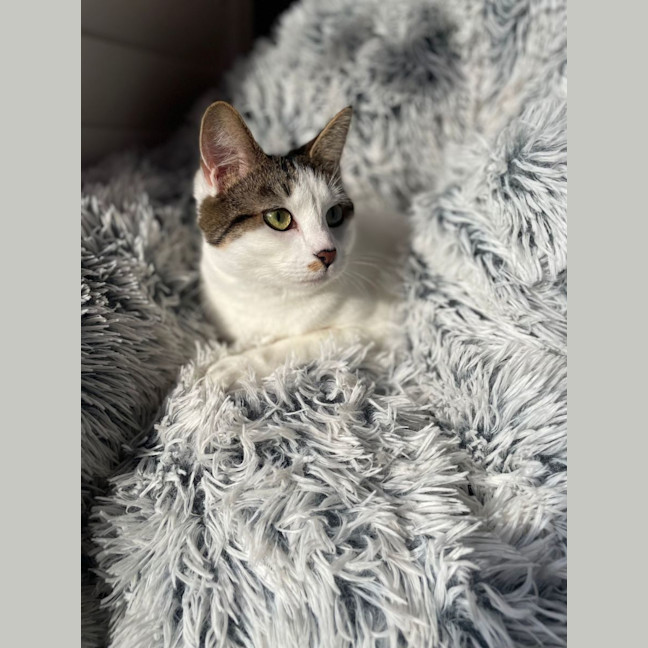 Photo of Pearl & Ruby