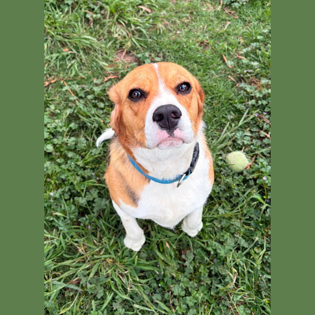 Photo of Buster