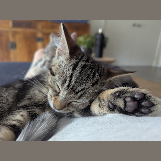 Photo of Lucia Scotty