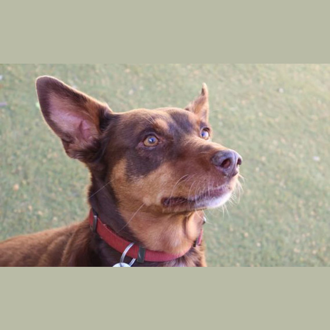 Photo of Milly