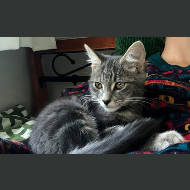 Photo of Disco