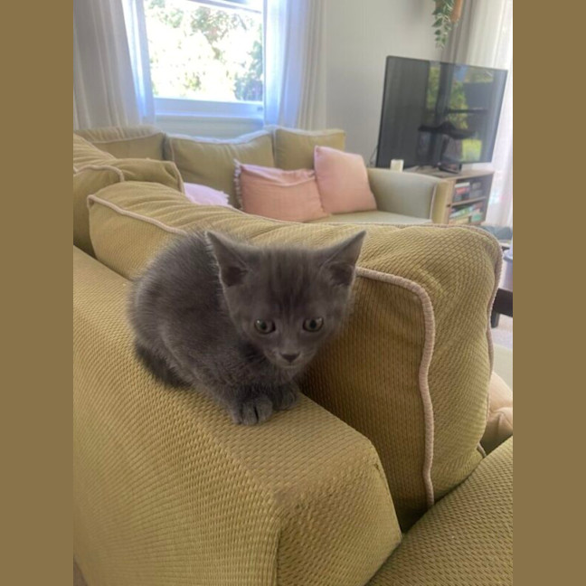 Photo of Mabel