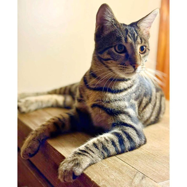 Photo of 11541   Ryan 