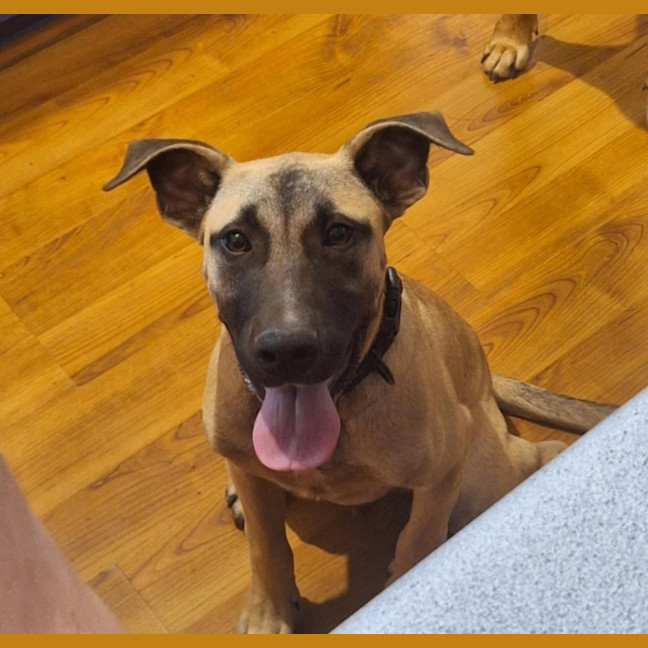 Photo of Marcel (Max)