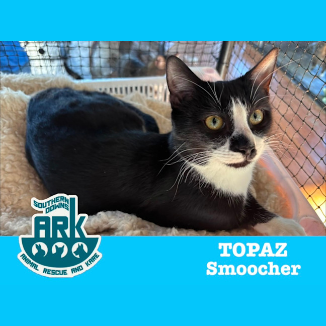 Photo of Topaz