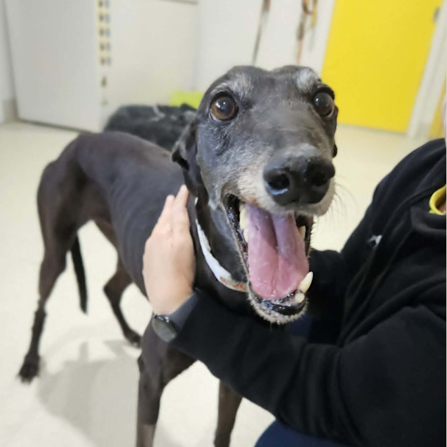 Photo of Bonnie