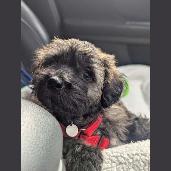 Photo of Flynn