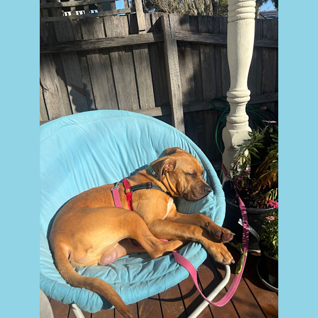 Photo of Rico 