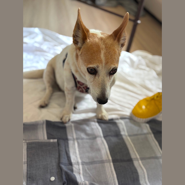 Photo of Tiara And Choppa