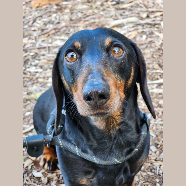 Photo of 🌞 Sonny 6191 🌞