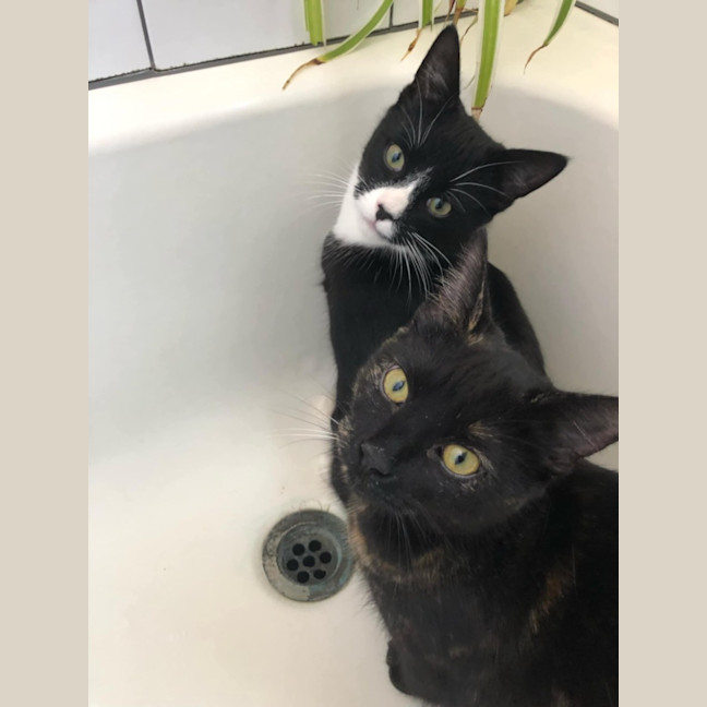 Photo of Stanley & Rosie