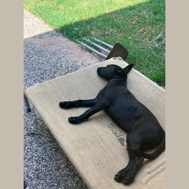 Photo of Storm