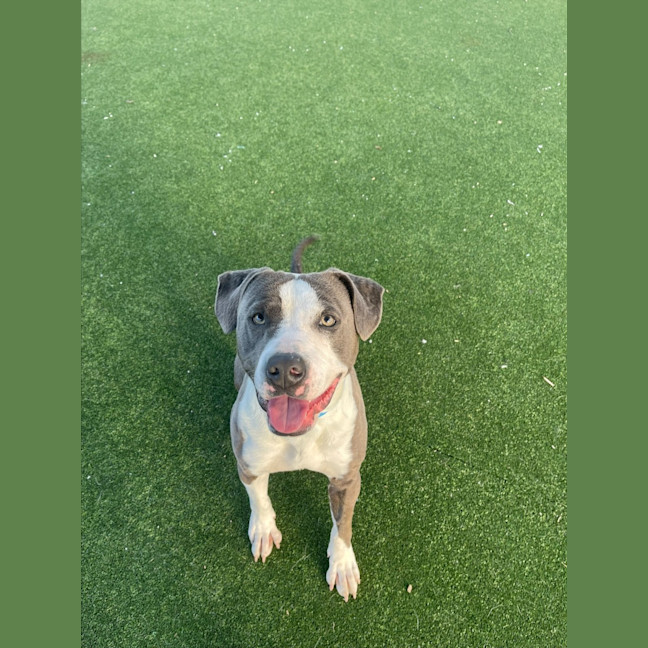 Photo of Jax Imp 1405