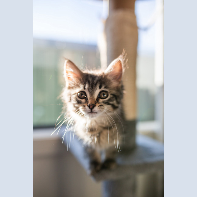 Photo of Stacys Sister