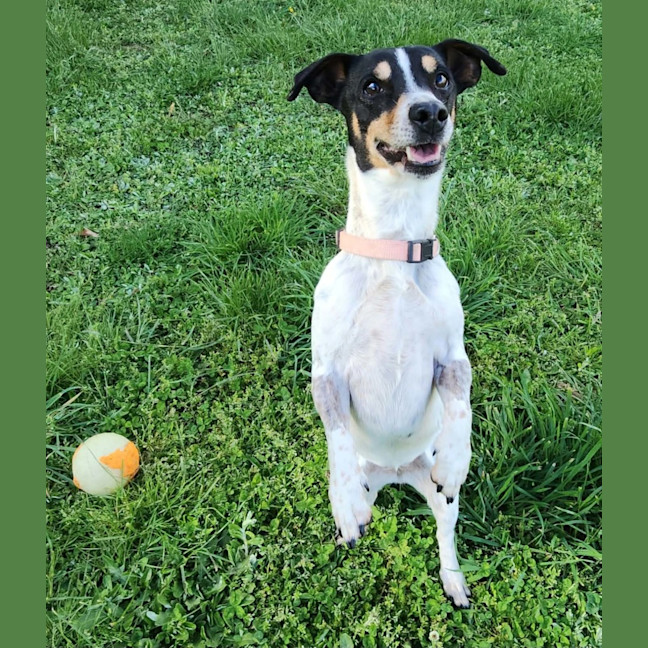 Photo of Tilly