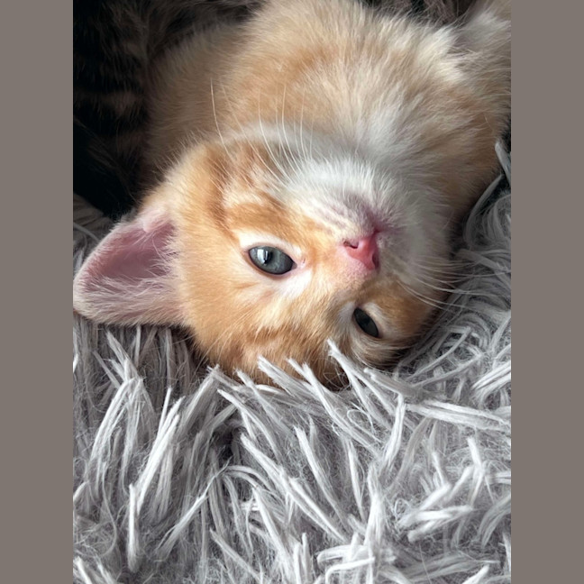 Photo of Navia & Rayne 