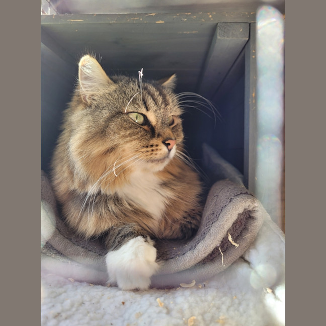 Photo of Hunter