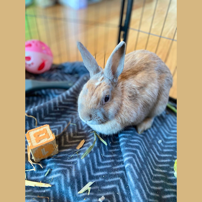 Photo of Spice Unity