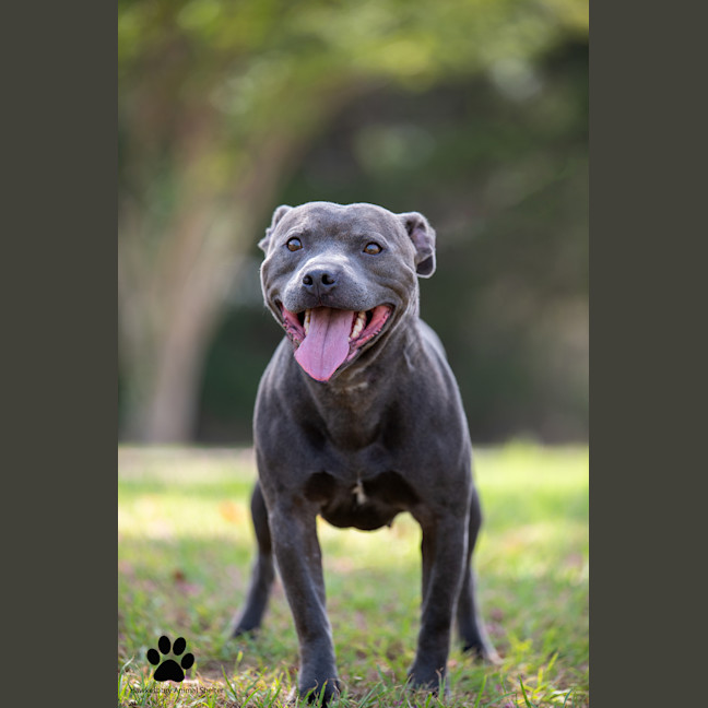 Photo of Zeus